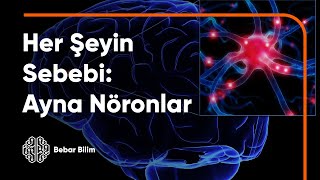 Ayna Nöronlar | Bilim Dünyasının En Önemli Keşfi