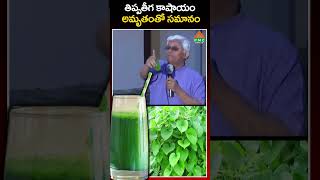 తిప్పతీగ కషాయం అమృతంతో సమానం | PMC Health