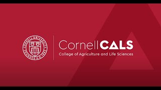 Cornell University College of Agriculture and Life Sciences Info Session Part 2: Student Experience