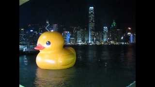 黃色巨鴨 Rubber Duck @ 香港 Hong Kong