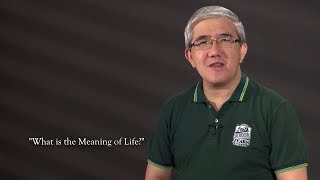 691 - What is the Meaning of Life