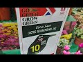 Green garden 🪴 safari mall Sharjah | biggest sale| cheapest mall in Dubai | #eshaalvlogs #viralvideo