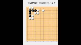 초급분들이 조심해야하는 실전모양 - 바둑사활 묘수  #바둑 #장기 #게임