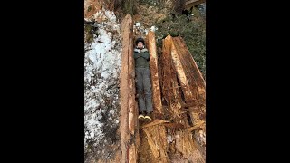 Girdwood Giant