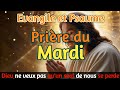 Parole et Évangile du jour | Mardi 13 Août • Dieu ne veux pas que nous nous perdons dans le monde