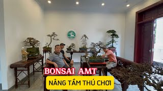 CẢNH GIỚI CỦA THÚ CHƠI BONSAI NGƯỜI HÀ NỘI - KHÔNG GIAN NGHỆ THUẬT SẮP ĐẶT CỰC ẤN TƯỢNG!