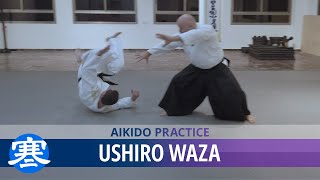 Ushiro Waza | Aikido