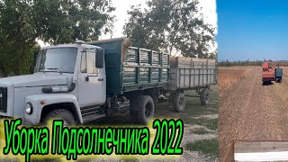 Уборка подсолнуха 2022! Газ 4301 с прицепом! СК5 м 1НИВА. Без поломок никак...