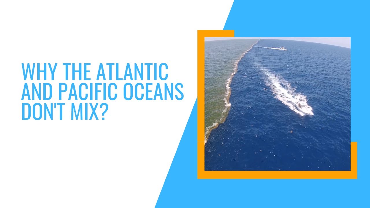 Why The Atlantic And Pacific Oceans Don't Mix? - YouTube