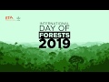 International Day of Forest 2019 - Why we need to love the forest