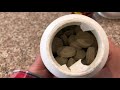 【アメリカの犬用サプリ】愛用免疫サポートサプリを紹介！what s my husky s supplement シベリアンハスキー siberian husky