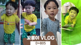 [육아일기] 꼬롱이 D+805 / 베지밀왕 꼬롱이, 26개월 아기 발달