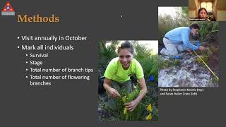 Archbold's Stephanie Koontz on Translocations of Rare Plant Species