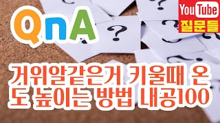 거위알같은거 키울때 온도 높이는 방법 내공100