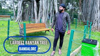 ഏറ്റവും വലിയ ആൽമരങ്ങളിൽ ഒന്ന് 400 year Old | Banglore