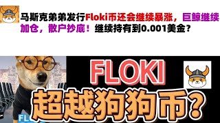 马斯克弟弟发行Floki币还会继续暴涨，巨鲸继续加仓，散户抄底！继续持有到0.001美金？Floki币|马斯克弟弟发行币|Floki币行情分析！