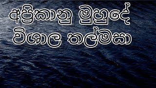 අප්‍රිකානු මුහුදේ දුටු විශාල තල්මසා