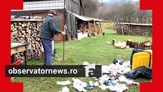 Localnicii unei comune din Mureş, terorizaţi de urşi. Animalele îi \