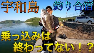 釣り合宿in宇和島　乗っ込みはまだお終わってなかった!？