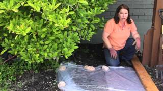 How to Sterilize Soil in the Garden : Grow Guru