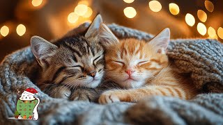 Soothing Music for Cats 🐱💤 Anti-Anxiety Video to Chase Away Boredom with Cat Relaxation Tunes!