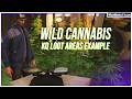 FiveM Script | Wild Cannabis [ESX + QB] [FREE] | KuzQuality