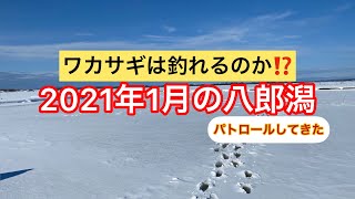 【秋田】大寒波後の八郎潟で初心者がワカサギを釣るとどうなるのか？