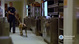 Regional Explosives Detection Dog Initiative - REDDI