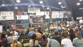 Pearland Livestock Auction