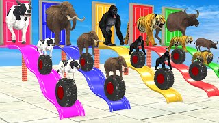 Cow Elephant Gorilla Guess The Right Door With Tire Game Wild Animals MYSTERY WATERSLIDE CHALLENGE