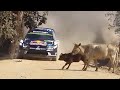 20 FUNNIEST RALLY MOMENTS