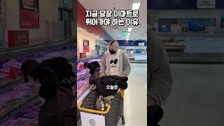 지금 당장 이마트로 뛰어가야 하는 이유?!🛒