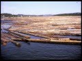 Flottningsfilmer ÅFF 1958-1965, Ramsele, Sollefteå, Sandslån