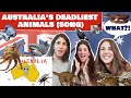 Australia's deadliest animals (song) reaction!