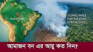 আমাজন বন এর আয়ু কত দিন? পুরোপুরি ধ্বংসের পথে এ বন !! Why is Amazon Rainforest is Disappearing?