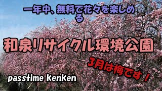 和泉リサイクル環境公園、南大阪の和泉市にある無料の公園にエブリィで行きご紹介します。