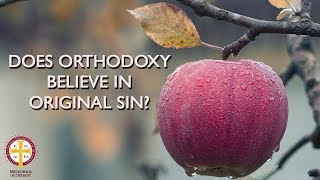 Does the Greek Orthodox Church Believe in Original Sin? | Greek Orthodoxy Fact vs Fiction