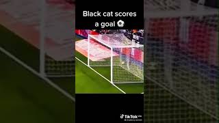 black cat scores a goal 🥅
