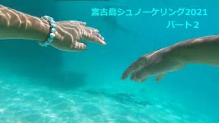 美しい沖縄の海　宮古島　シュノーケリング　パート２　魚・サンゴ礁・「癒しの海　BGM」夏休み　夏の旅行