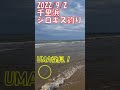 海岸でモクズガニすくった shorts