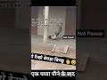 अभी तक आप नही देखे है जंगली बिच्छू तो जल्दी से व्यू को देखें trending shortvideoviral trendingsh