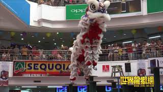 马来西亚柔佛武吉巴西关圣宫龙狮团 Kun Seng Keng Lion and Dragon Dance Association