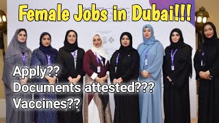 Female Jobs in Dubai | How female get job in Dubai?? #dubaijobs #dubailife Link number👇 discription