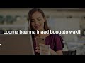 vlog borama