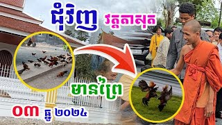 ប្លែកស្អាត !! ទិដ្ឋភាពក្នុងវត្តតាសុតនៅថ្ងៃនេះ០៣ ធ្នូ ២០២៤#ព្រះអង្គចន្ទមុនី#វត្តតាសុត#គំនិត