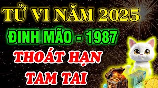 Luận Giải Chi Tiết: Tử Vi Năm 2025, Đinh Mão 1987, Thoát Hạn Tam Tai, Đổi Vận Giàu Nếu Biết Điều Này