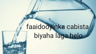 Faaidada laga helo cabista biyaha 👍