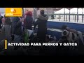 Jornada de esterilización para mascotas en la localidad de Santa Fe | CityTv