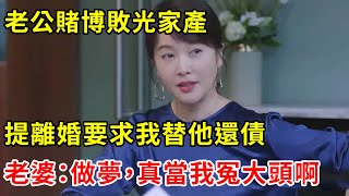 老公賭博敗光家產，提離婚要求我替他還債，老婆：做夢，真當我冤大頭啊 | 翠花的秘密