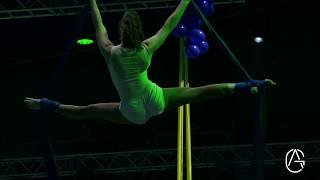 AirGym Art Company - Aerial Silks